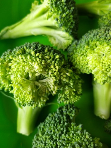 En bild på broccoli mot mörkgrön bakgrund